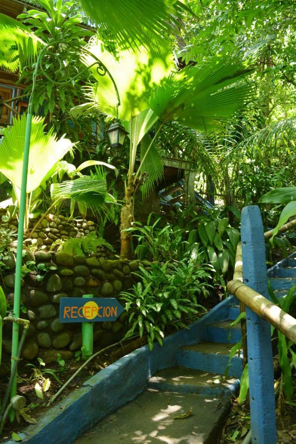 Hotel Luna Llena Nicoya Exteriér fotografie