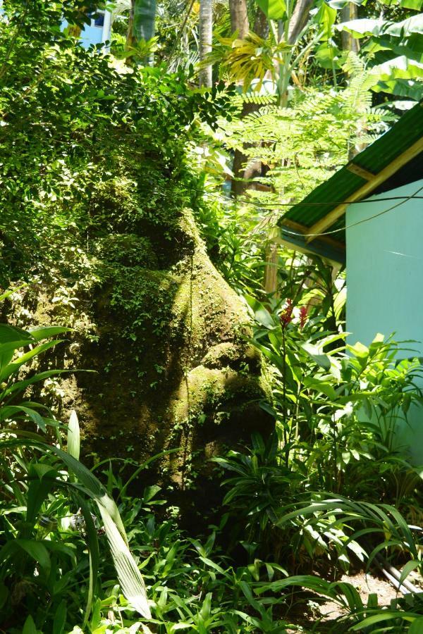 Hotel Luna Llena Nicoya Exteriér fotografie